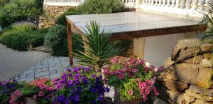 Appartement Vue Montagne