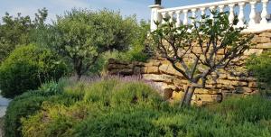 Appartement Vue Montagne