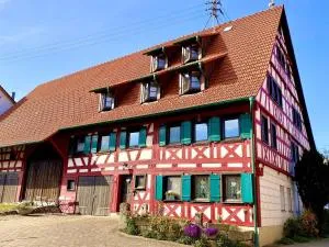 Ferienwohnungen im Eugenhaus - Rosenfeld