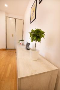Relais Emilei