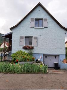 Appartements Gite les chiwawas d'Alsace : photos des chambres