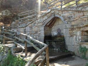 Arena Bianca img11