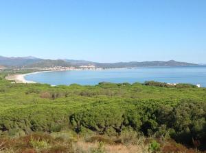 Arena Bianca img17