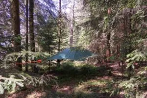 Baumzelt im Wald - 弗劳埃瑙