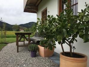 Ferienwohnung Sundratn