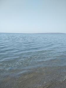 Πενυ Καντια 1ος Ν 4