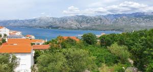 Apartmani Barbara App1