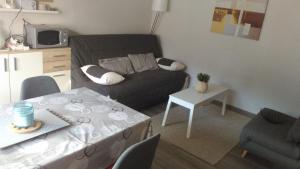 Appartements Studio centre Carroz CA210 : photos des chambres