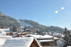 Chalets Chalet Haut Standing a proximite du centre (CH228) : photos des chambres