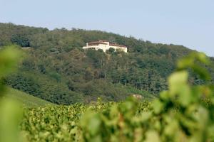 Hotel Auberge Les Hauts De Chenas Chénas Francja