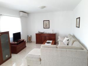 Apartment in Brela with sea view, balcony, air conditioning, WiFi (4962-3) 