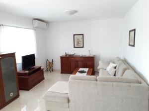 Apartment in Brela with sea view, balcony, air conditioning, WiFi (4962-3)