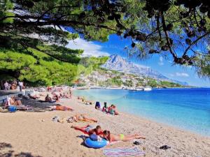 Apartment in Brela with sea view, balcony, air conditioning, WiFi (4962-3) 
