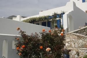 Flora's Apartments Naxos Greece