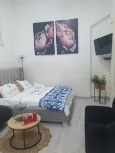 Tzimer Lana - Kramim