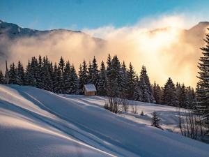 Appartements Pont Aux Filles - Snow and Trek : photos des chambres