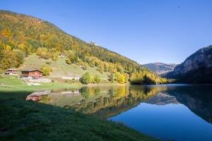 Appartements Les Mitoulets : photos des chambres