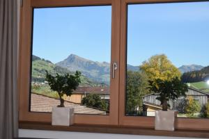 Apartment Brandstätter 1 & 2 by Apartment Managers