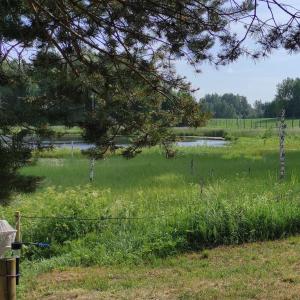 Kārkliņi Tiny House & private campsite
