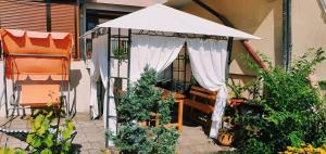 Cute Little House with a White Picket Fence