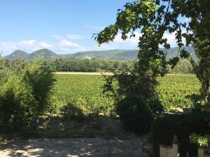 Maisons de vacances L'Annexe du chateau du Martinet : photos des chambres