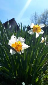 Kuća za odmor VB-IDRO 