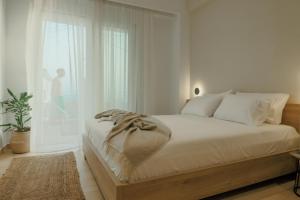 Casa Costa Suites Plus