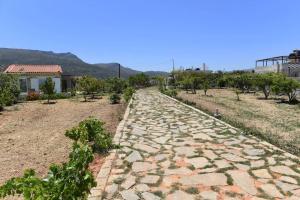 Anemones Apartments (3)