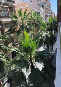 PISO CENTRO CIUDAD CLUB NAUTICO