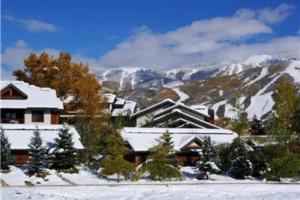 Pines at Orehouse 101 PH1