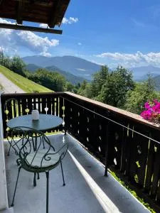 Almhaus Scherff - 阿夫里茨