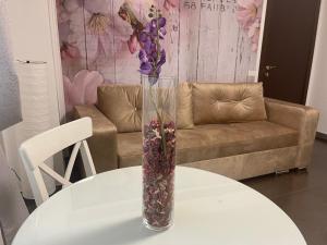 Apartament Mihaela