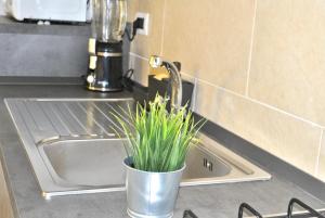 Verba Mundi Guest House img29