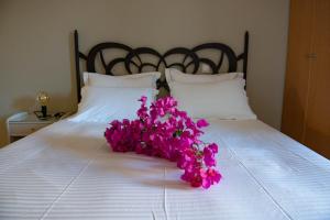 Double Room with Garden View room in Saga Hotel