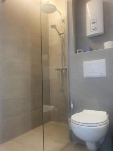 Appartement met 2 slaapkamers op zeedijk Middelkerke