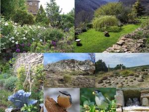 Maisons de vacances Les Jardins de l'Abbaye : photos des chambres