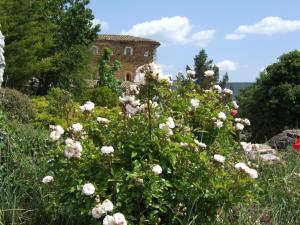 Maisons de vacances Les Jardins de l'Abbaye : photos des chambres