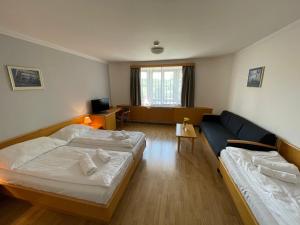 Triple Room with Private Bathroom room in Hotel Laguna