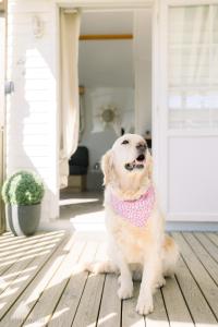 LE COTTAGE DE LYXIE-Nature et sports