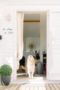 LE COTTAGE DE LYXIE-Nature et sports