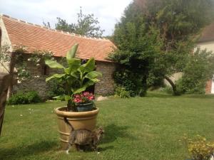 Maisons de vacances Moulin en bord de riviere - 1 a 5 pers - linge - wifi : photos des chambres