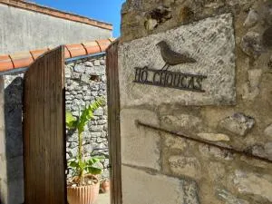 hô choucas - Chauvigny