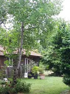 L’escale côté jardin - Saint-Julien-Beychevelle