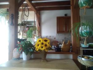 B&B / Chambres d'hotes Les Tournesols : photos des chambres