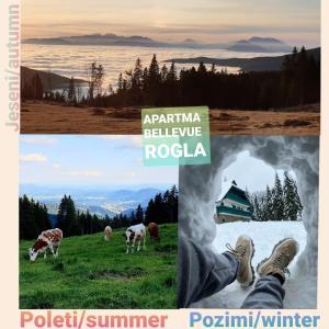 Apartma Bellevue Rogla 