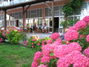 Hotel Pantazis Pieria Greece