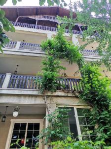 Vila Cristal Costinesti