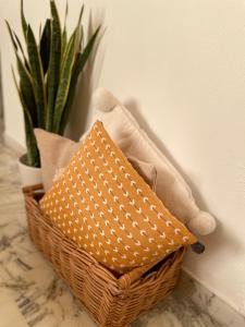 B&B / Chambres d'hotes Lou Candelou : photos des chambres