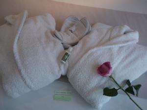 Appart'hotels Resid'Spa Loire & Sevre : Studio avec Massage & Accès Spa
