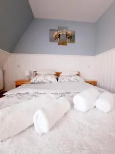 Apartament U Maćków - 希切玛尔